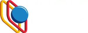 logo vhole ball